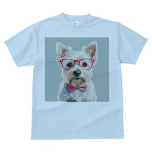 EGXgnChzCgeA TVc  j[NfUCY LbY t@  t vg lJWA 킢 lԗp Mtg I ҏ΍ Kl EGXgn