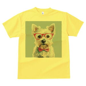 EGXgnChzCgeA TVc  j[NfUCfB[X t@  t vg lJWA 킢 lԗp Mtg I ҏ΍ Kl EGXgnC