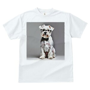 ~j`AViEU[ TVc  j[NfUCY LbY t@  t vg lJWA 킢 lԗp Mtg I ҏ΍ Kl ~j`AViEU