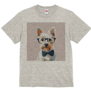 EFXgnChzCgeA TVc  j[NfUCY LbY t@  t vg lJWA 킢 lԗp Mtg I ҏ΍ Kl EFXgn