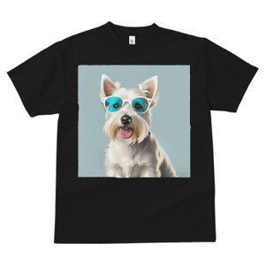 EGXgnChzCgeA TVc  j[NfUCfB[X t@  t vg lJWA 킢 lԗp Mtg I ҏ΍ TOX EGXgn