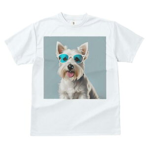 EGXgnChzCgeA TVc  j[NfUCfB[X t@  t vg lJWA 킢 lԗp Mtg I ҏ΍ TOX EGXgn