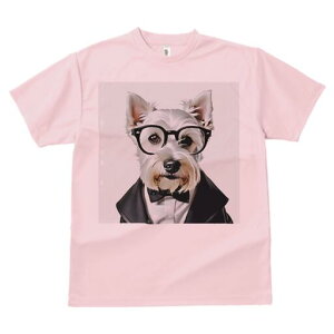 EGXgnChzCgeA TVc  j[NfUCfB[X t@  t vg lJWA 킢 lԗp Mtg I ҏ΍ lN^C EGXgn