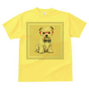 EFXgnChzCgeA TVc  j[NfUCfB[X t@  t vg lJWA 킢 lԗp Mtg I ҏ΍ Kl EFXgnC