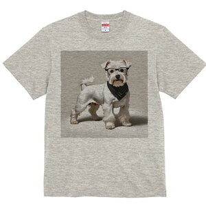 ~j`AViEU[ TVc  j[NfUCfB[X t@  t vg lJWA 킢 lԗp Mtg I ҏ΍ Kl ~j`AViEU[ 