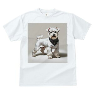 ~j`AViEU[ TVc  j[NfUCfB[X t@  t vg lJWA 킢 lԗp Mtg I ҏ΍ Kl ~j`AViEU[ 