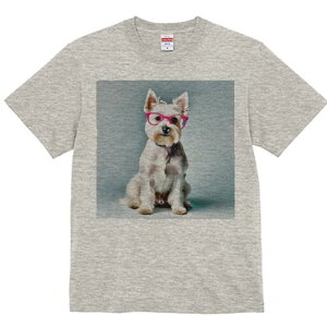 ~j`AViEU[ TVc  j[NfUCfB[X t@  t vg lJWA 킢 lԗp Mtg I ҏ΍ Kl ~j`AViEU[