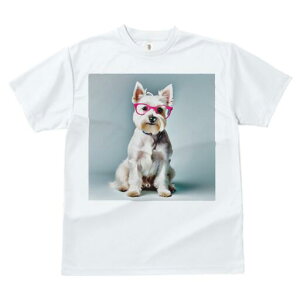 ~j`AViEU[ TVc  j[NfUCfB[X t@  t vg lJWA 킢 lԗp Mtg I ҏ΍ Kl ~j`AViEU[