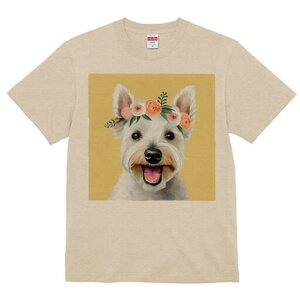 EGXgnChzCgeA TVc  j[NfUCfB[X t@  t vg lJWA 킢 lԗp Mtg I ҏ΍ ԗ EGXgnC