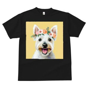 EGXgnChzCgeA TVc  j[NfUCfB[X t@  t vg lJWA 킢 lԗp Mtg I ҏ΍ ԗ EGXgnC