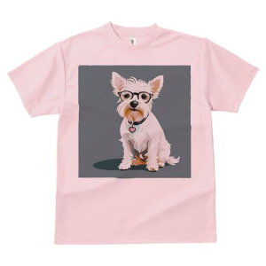 EFXgnChzCgeA TVc  j[NfUCfB[X t@  t vg lJWA 킢 lԗp Mtg I ҏ΍ Kl EFXgnC