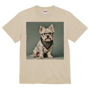 EGXgnChzCgeA TVc  j[NfUCfB[X t@  t vg lJWA 킢 lԗp Mtg I ҏ΍ Kl EGXgnC