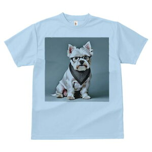 EGXgnChzCgeA TVc  j[NfUCY LbY t@  t vg lJWA 킢 lԗp Mtg I ҏ΍ Kl EGXgn