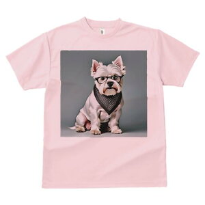 EGXgnChzCgeA TVc  j[NfUCY LbY t@  t vg lJWA 킢 lԗp Mtg I ҏ΍ Kl EGXgn