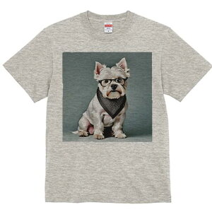 EGXgnChzCgeA TVc  j[NfUCfB[X t@  t vg lJWA 킢 lԗp Mtg I ҏ΍ Kl EGXgnC