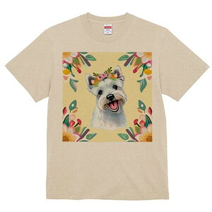 EGXgnChzCgeA TVc  j[NfUCY LbY t@  t vg lJWA 킢 lԗp Mtg I ҏ΍  EGXgnC