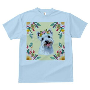 EGXgnChzCgeA TVc  j[NfUCfB[X t@  t vg lJWA 킢 lԗp Mtg I ҏ΍  EGXgnCh