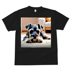 ~j`AViEU[ TVc  j[NfUCfB[X t@  t vg lJWA 킢 lԗp Mtg I ҏ΍ J[ybg ~j`AViEU