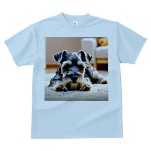 ~j`AViEU[ TVc  j[NfUCfB[X t@  t vg lJWA 킢 lԗp Mtg I ҏ΍ J[ybg ~j`AViEU