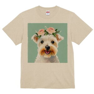 EGXgnChzCgeA TVc  j[NfUCfB[X t@  t vg lJWA 킢 lԗp Mtg I ҏ΍  EGXgnCh