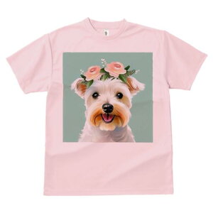 EGXgnChzCgeA TVc  j[NfUCY LbY t@  t vg lJWA 킢 lԗp Mtg I ҏ΍  EGXgnC