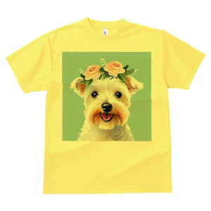 �E�G�X�g�n�C�����h�z���C�g�e���A T�V���c ���� ���j�[�N�f�U�C�����f�B�[�X ���t�@�� ���� �t�� �v�����g ��l�J�W���A�� ���킢�� �l�ԗp �M�t�g ���I �ҏ��΍� �� �E�G�X�g�n�C�����h