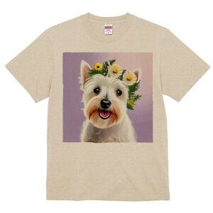 EGXgnChzCgeA TVc  j[NfUCfB[X t@  t vg lJWA 킢 lԗp Mtg I ҏ΍  EGXgnCh