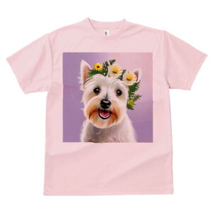 EGXgnChzCgeA TVc  j[NfUCfB[X t@  t vg lJWA 킢 lԗp Mtg I ҏ΍  EGXgnCh