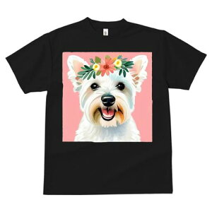 EGXgnChzCgeA TVc  j[NfUCfB[X t@  t vg lJWA 킢 lԗp Mtg I ҏ΍  EGXgnCh