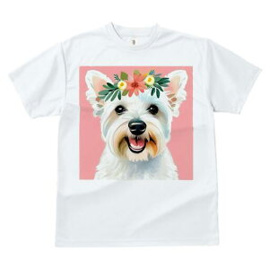 EGXgnChzCgeA TVc  j[NfUCfB[X t@  t vg lJWA 킢 lԗp Mtg I ҏ΍  EGXgnCh