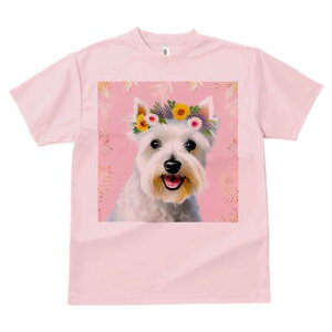 EGXgnChzCgeA TVc  j[NfUCfB[X t@  t vg lJWA 킢 lԗp Mtg I ҏ΍  EGXgnCh