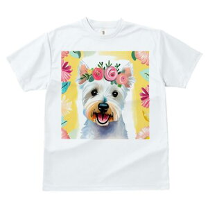 EGXgnChzCgeA TVc  j[NfUCY LbY t@  t vg lJWA 킢 lԗp Mtg I ҏ΍  EGXgnC