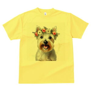 EGXgnChzCgeA TVc  j[NfUCfB[X t@  t vg lJWA 킢 lԗp Mtg I ҏ΍ Ԋ EGXgnC