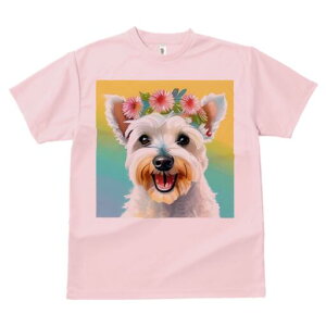 EGXgnChzCgeA TVc  j[NfUCfB[X t@  t vg lJWA 킢 lԗp Mtg I ҏ΍ ԗ EGXgnC