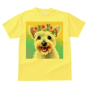 EGXgnChzCgeA TVc  j[NfUCfB[X t@  t vg lJWA 킢 lԗp Mtg I ҏ΍ ԗ EGXgnC