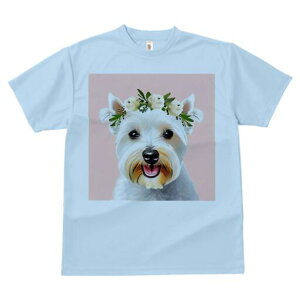 EGXgnChzCgeA TVc  j[NfUCfB[X t@  t vg lJWA 킢 lԗp Mtg I ҏ΍  EGXgnCh