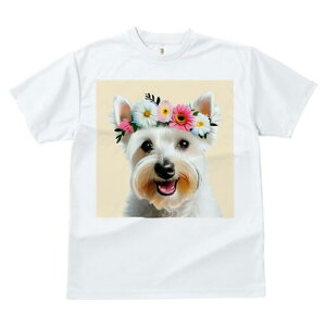 EGXgnChzCgeA TVc  j[NfUCfB[X t@  t vg lJWA 킢 lԗp Mtg I ҏ΍ Ԋ EGXgnC