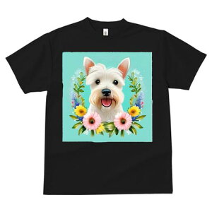 EGXgnChzCgeA TVc  j[NfUCfB[X t@  t vg lJWA 킢 lԗp Mtg I ҏ΍  EGXgnCh