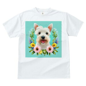 EGXgnChzCgeA TVc  j[NfUCY LbY t@  t vg lJWA 킢 lԗp Mtg I ҏ΍  EGXgnC