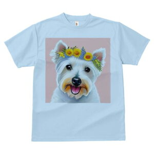 EGXgnChzCgeA TVc  j[NfUCfB[X t@  t vg lJWA 킢 lԗp Mtg I ҏ΍  EGXgnCh