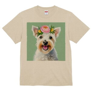 EGXgnChzCgeA TVc  j[NfUCfB[X t@  t vg lJWA 킢 lԗp Mtg I ҏ΍  EGXgnCh