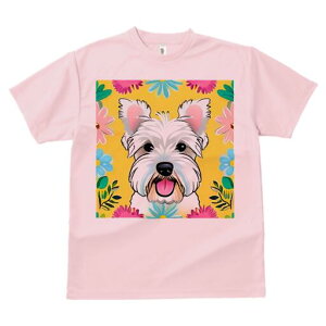 EGXgnChzCgeA TVc  j[NfUCY LbY t@  t vg lJWA 킢 lԗp Mtg I ҏ΍  EGXgnC