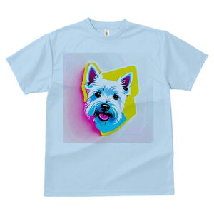 EGXgnChzCgeA TVc  j[NfUCfB[X t@  t vg lJWA 킢 lԗp Mtg I ҏ΍ |bvA[g EGXg