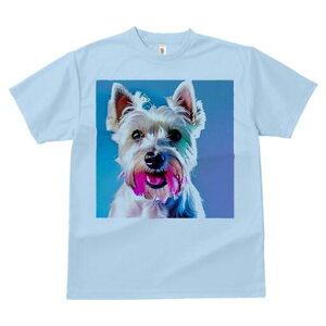 EGXgnChzCgeA TVc  j[NfUCfB[X t@  t vg lJWA 킢 lԗp Mtg I ҏ΍ EGXgnChz