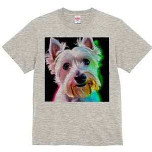 EGXgnChzCgeA TVc  j[NfUCfB[X t@  t vg lJWA 킢 lԗp Mtg I ҏ΍ EGXgnChz