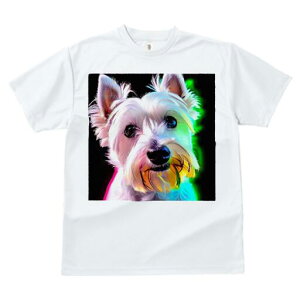 EGXgnChzCgeA TVc  j[NfUCY LbY t@  t vg lJWA 킢 lԗp Mtg I ҏ΍ EGXgnCh