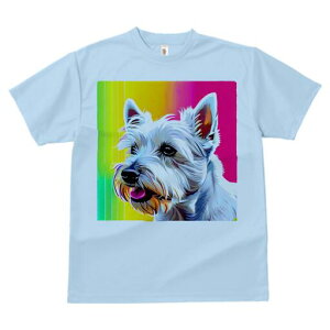 EGXgnChzCgeA TVc  j[NfUCfB[X t@  t vg lJWA 킢 lԗp Mtg I ҏ΍ Jt EGXgnC