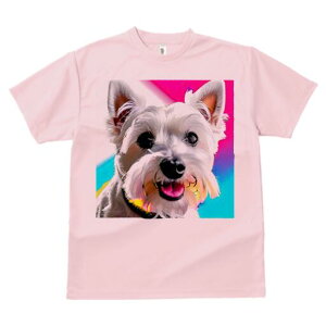 EGXgnChzCgeA TVc  j[NfUCfB[X t@  t vg lJWA 킢 lԗp Mtg I ҏ΍ EGXgnChz