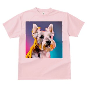 EGXgnChzCgeA TVc  j[NfUCfB[X t@  t vg lJWA 킢 lԗp Mtg I ҏ΍ EGXgnChz