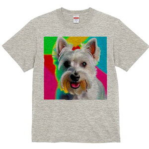 EGXgnChzCgeA TVc  j[NfUCfB[X t@  t vg lJWA 킢 lԗp Mtg I ҏ΍ EGXgnChz